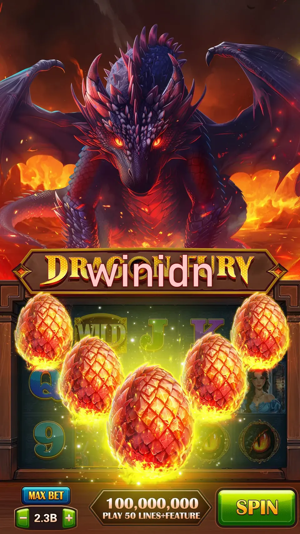 winidn APK