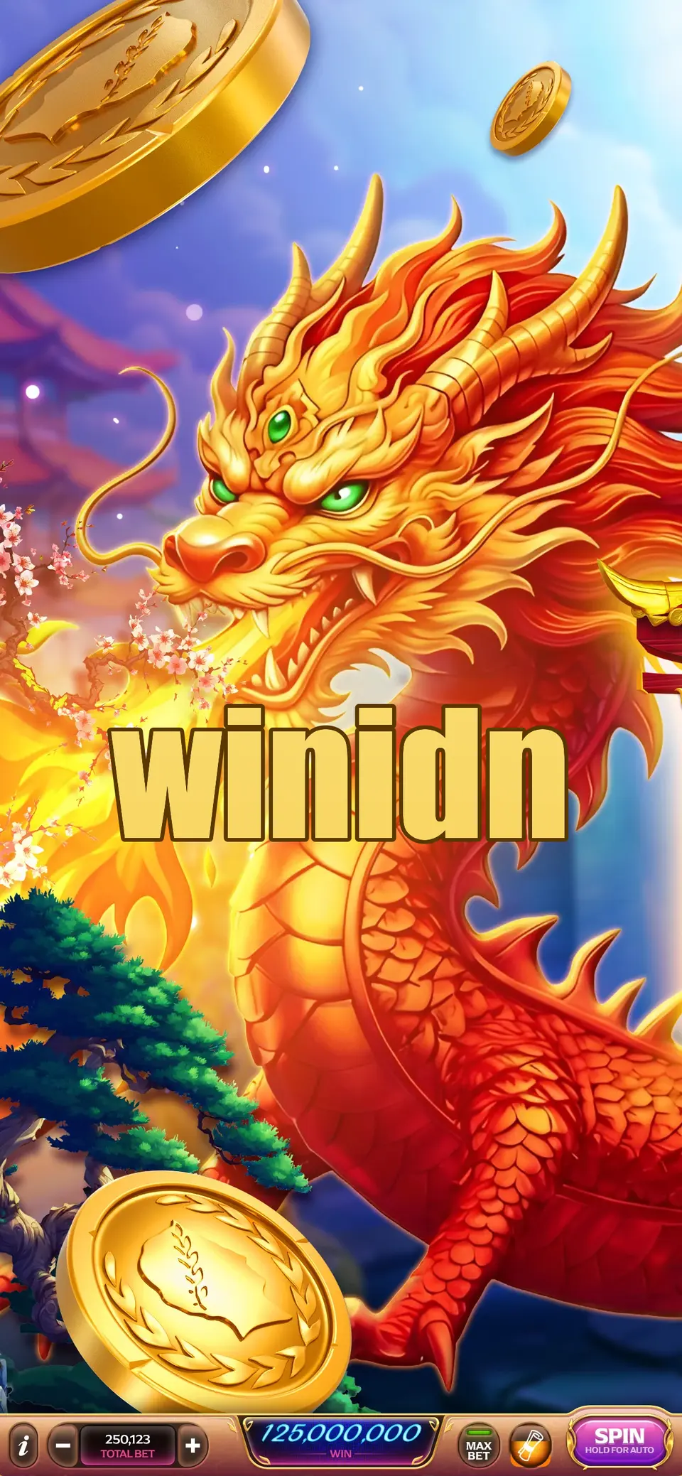 winidn Tangkapan Layar - APK Resmi